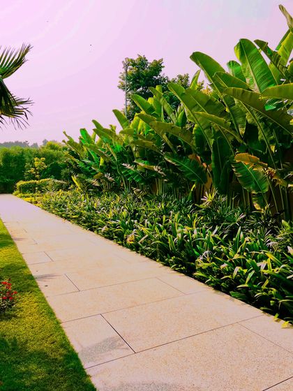 Luxury Villa & Farmhouse Estates photo 18