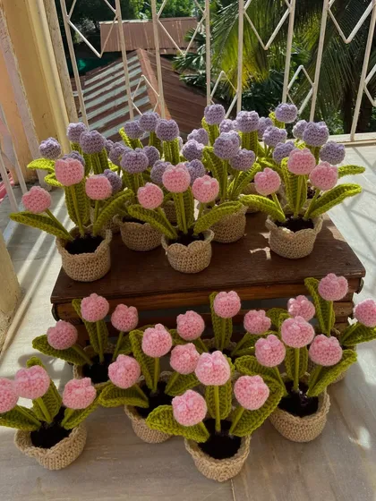 A group of my potted mini tulips in soft pink and lilac, perfect for a subtle touch of color.