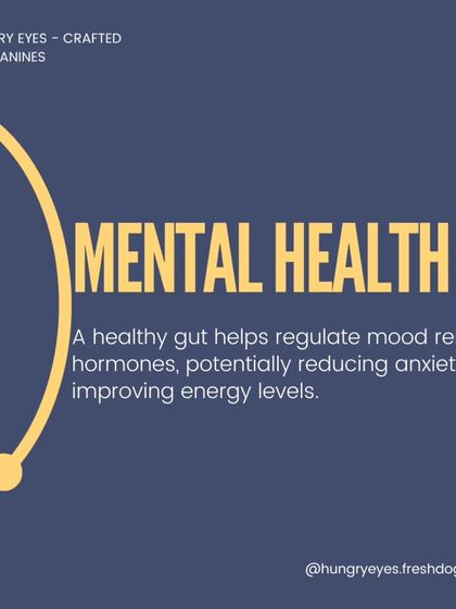 Hungry Eyes - Natural Pet Treats & Chews Pet Parent Guides & Tips photo 6