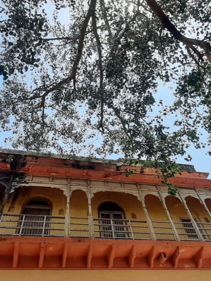 Looking up at the haveli's balcony from the courtyard, with the branches of an old tree framing the historic architecture.