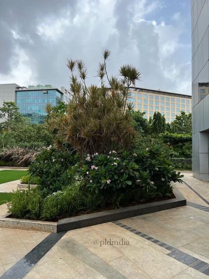 Corporate Campus & Amenity Spaces photo 6