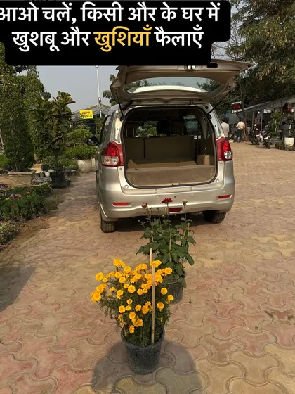 Aao chalein, kisi aur ke ghar mein khushboo aur khushiyan phailayein. Roz humari nursery se paudhe naye gharon ki raunak badhane jaate hain.