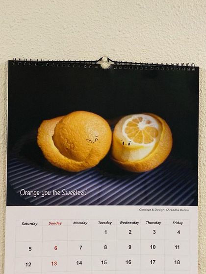 Shraddhadoodles - Custom Art & Merchandise A Look Back: Past Calendars photo 16