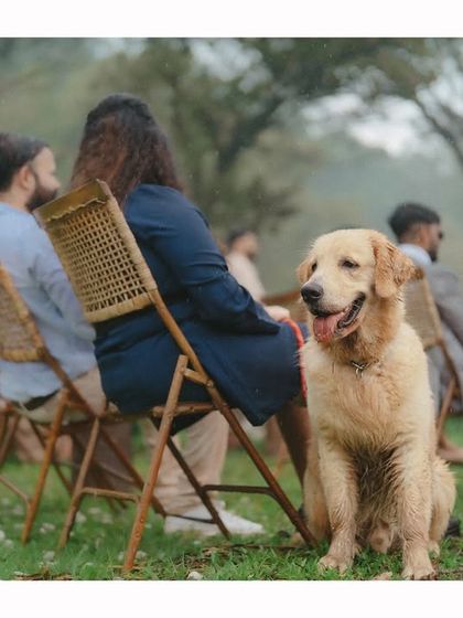 Destination & Outdoor Stories photo 18