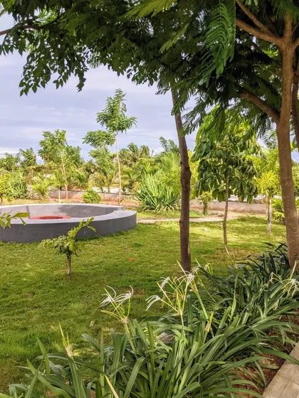 A ground-level view of the bonfire seating area, surrounded by a lush lawn and young trees. This hardscape feature is perfectly integrated into the green space for functional outdoor living.