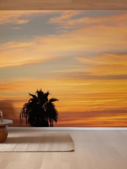 House360.in - Residential Wallpaper & Wall Mural Services Nature-Inspired & Tropical Murals photo 75