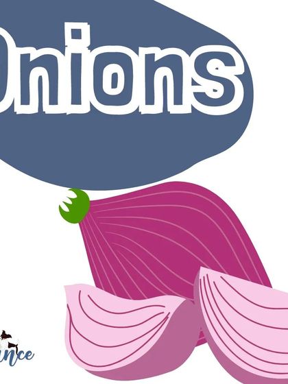 Onions, along with garlic and chives, belong to the Allium family and can damage a dog's red blood cells, leading to anemia.