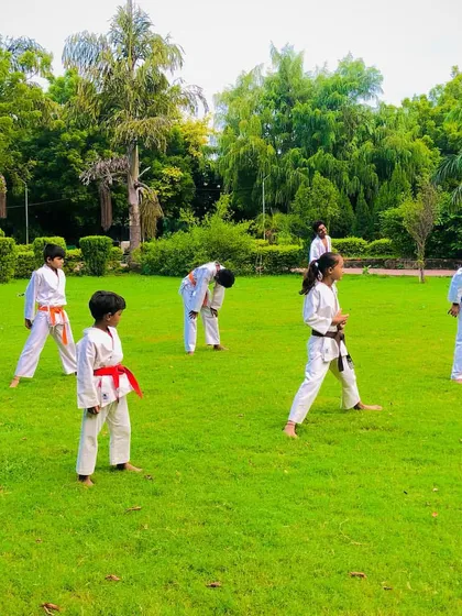 Students lined up and practicing their stances in the park. A strong stance is the foundation for every single karate technique.