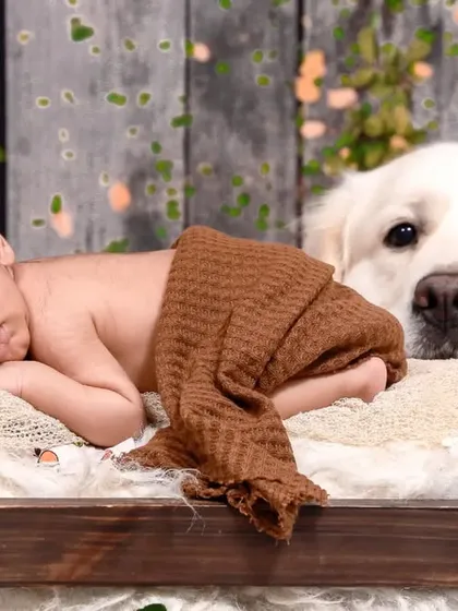 Welcoming a new baby with a furry friend is a special moment. I love creating these portraits that show the beginning of a beautiful friendship, ensuring both baby and pet are safe and relaxed throughout the session.