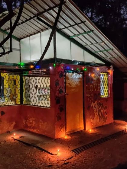 PetStepin - Pet-Friendly Events Quiet Zones for Noisy Festivals photo 18