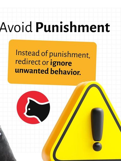 Pethowz - Pet Parent Education Positive Pet Training Guides photo 11