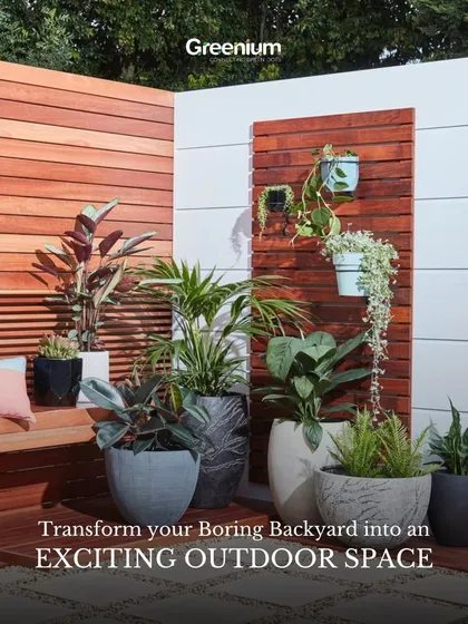 An exciting outdoor space concept designed to transform a boring backyard. The design uses a combination of wooden textures, varied planters, and a mix of plant types to create a dynamic and inviting area.