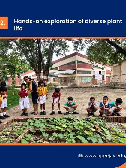 Our students embarked on a hands-on exploration of diverse plant life during a nature walk. This activity allowed them to observe and learn about different types of plants in their natural environment.
