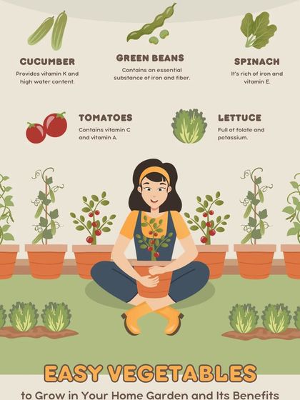 Grow Your Own Vegetables photo 21