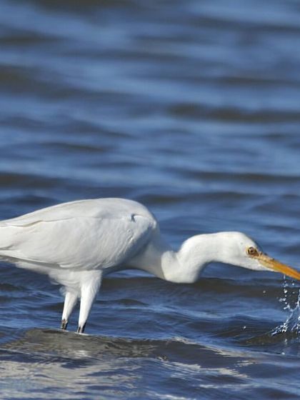 Discovery Village Resorts - Corporate & Group Outings Relaxed Pursuits & Nature Connection photo 25