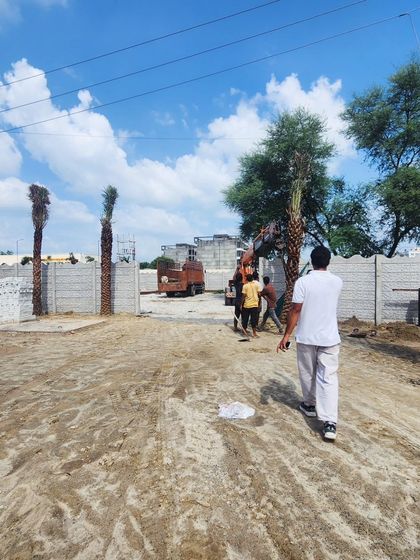 Delhi Gardner - Full-Service Landscaping Statement Trees & Sculpted Topiaries photo 19