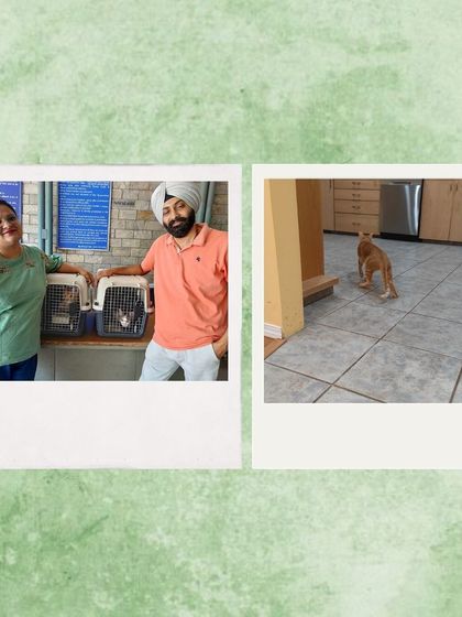 Words from Our Fur-Families photo 21