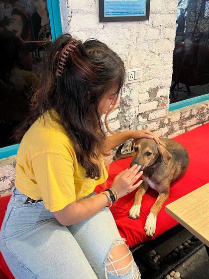 A gentle pat for Bugs. He's one of our resident indies and he absolutely loves the attention.