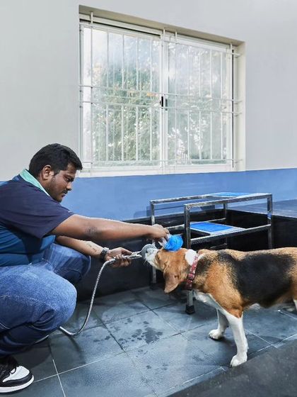 Jois Design House - Residential Interior Design & Build (Turnkey) Commercial & Other Projects photo 5