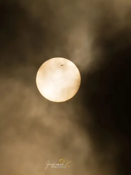 A lone bird flies across the face of the morning sun, creating a dramatic silhouette against the hazy, golden light. This artistic shot conveys a sense of freedom and the grand scale of nature, ideal for inspirational content or atmospheric backgrounds.