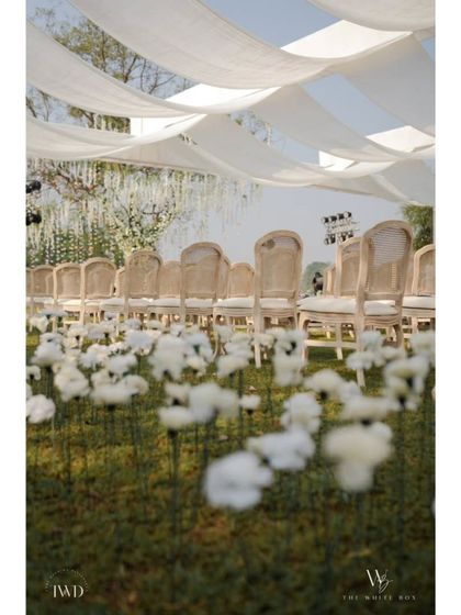 The Finer Details: Decor & Ambiance photo 3