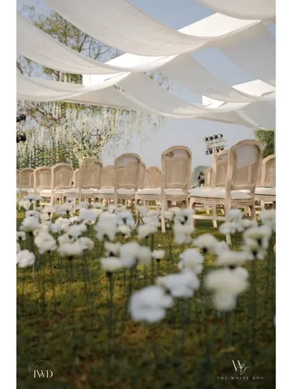 A field of whimsical white flowers planted along the aisle for a garden wedding. This creative detail added a dreamy, ethereal quality to the ceremony space.