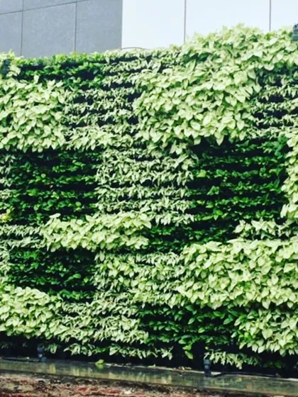 This outdoor biowall uses variegated plants to create a block-like pattern, demonstrating a creative approach to green branding. The design effectively hides a fire hydrant while maintaining a clean, aesthetic look.
