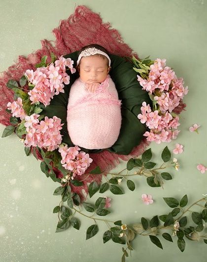 Meghana Merchant - Newborn Photography Dreamy Prop Setups photo 38