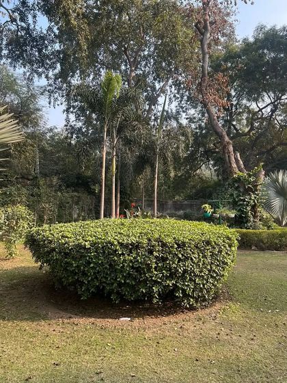 A perfectly sculpted hedge in a large garden. Topiary and hedge trimming are key services we offer to maintain structure and formality in a landscape design.