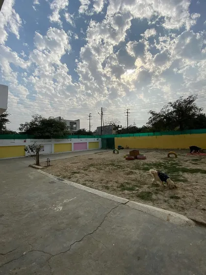 A beautiful day with a gorgeous sky over our play area. It's a great day for the dogs to be outside.