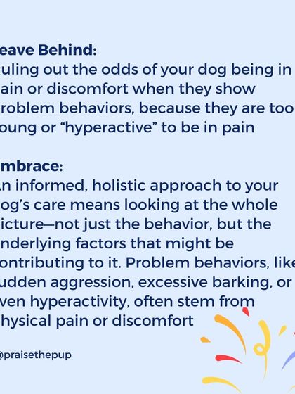 Never rule out pain as a cause for problem behaviors, even in young or "hyperactive" dogs. A holistic approach means looking at the whole picture. Sudden aggression or hyperactivity can often stem from physical discomfort.
