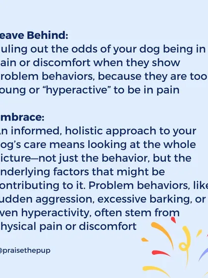 Never rule out pain as a cause for problem behaviors, even in young or "hyperactive" dogs. A holistic approach means looking at the whole picture. Sudden aggression or hyperactivity can often stem from physical discomfort.