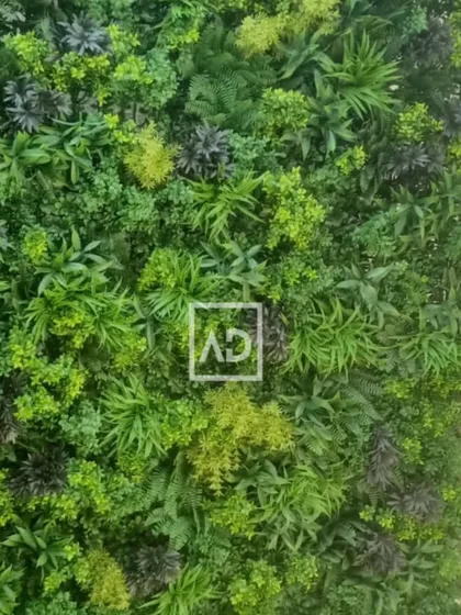 This vertical garden panel features a rich mix of textures and shades of green, with ferns, succulents, and other foliage types combined for a deep, realistic, and natural appearance.