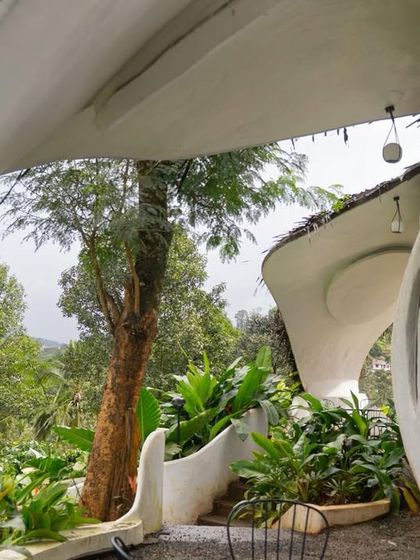 A covered walkway in the eco-retreat follows the curving form of the structure, offering framed views of the surrounding forest.