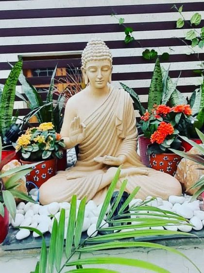 A close-up of a beautiful Buddha statue surrounded by colorful flowers and snake plants, creating a perfect Zen corner.