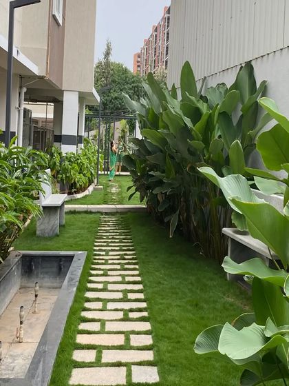A garden path at Saritha Splendor, created with stone pavers set into a lush lawn. The path leads through a corridor of large-leafed tropical plants, creating a sense of journey and discovery in a compact space.