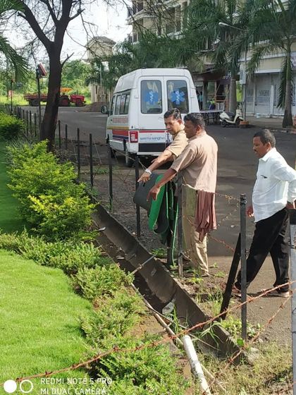 Discussing the next steps for a public greening project along a roadside.