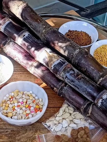 Tiny Mustards - Montessori Preschool Program Celebrating Our Culture & Festivals photo 8