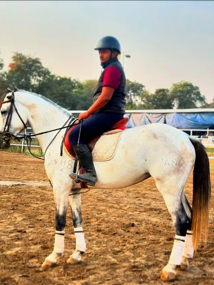Meet Akira, a majestic and energetic young horse. He is a great example of the promising equine partners I have available for riders looking for potential and spirit.