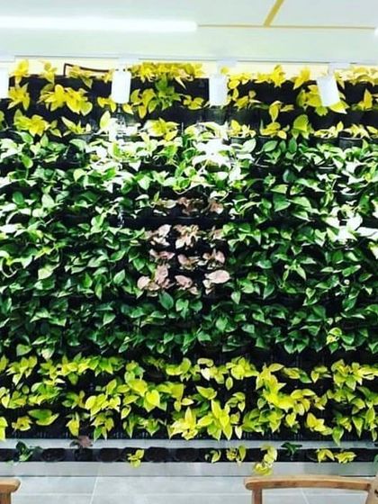 Vertical Gardens: Living Walls of Green photo 9