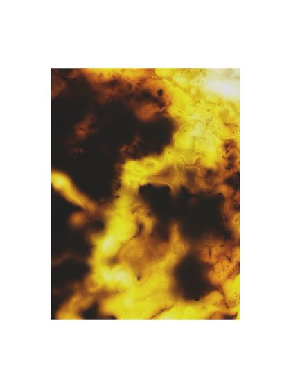 Behind the Lens: The Process & Education photo 15