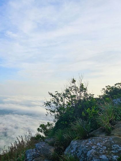 Peeking over the edge into a world of clouds. The rocky outcrops of Skandagiri provide the perfect vantage point for this stunning natural spectacle.