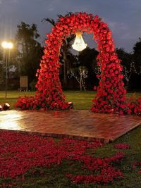 Social & Festive Event Decoration