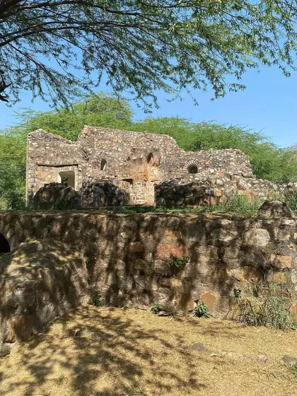 The ruins of a Mughal-era structure in Sunder Nursery, with dappled sunlight filtering through the trees. The park is a landscape of tombs, gardens, and water channels.