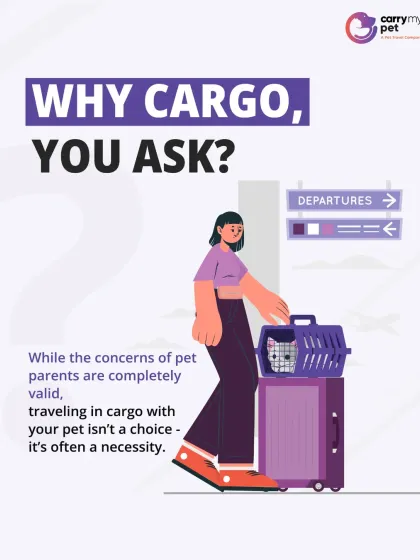 CarryMyPet - Pet Travel & Parenting Consultation Your Pet Travel Questions, Answered photo 21