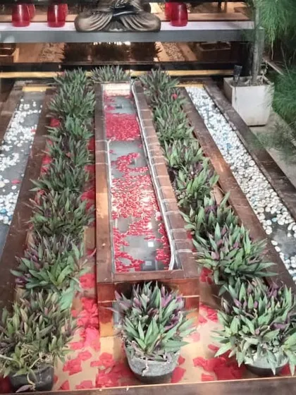 A unique indoor water feature I designed for a Noida home. The channel is lined with rhoeo plants and filled with floating flower petals, creating a serene and decorative element.
