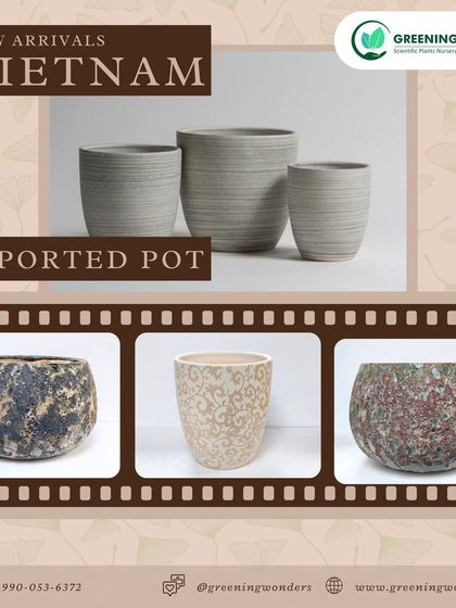 Greening Wonders - Garden Center & Plant Nursery Decorative & Premium Pots photo 8