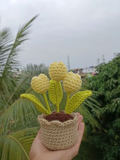 Cheerful Potted Plants photo 81