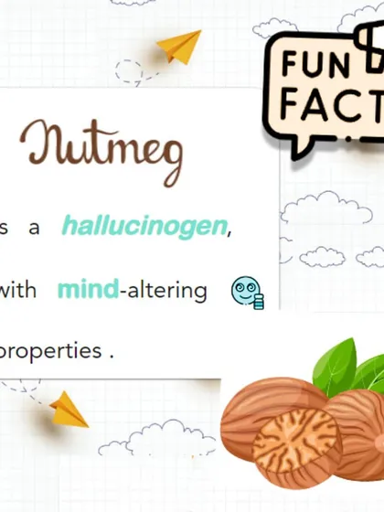 Fun Fact: Nutmeg is a hallucinogen. The spice contains a chemical called Myristicin, and consuming it in large quantities can cause mind-altering effects.
