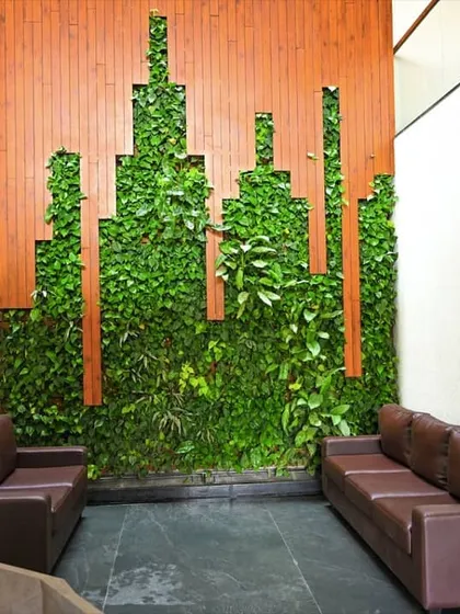 At the Amsha Ventures office, we created this statement green wall with a custom city skyline design. This artistic installation in the reception area introduces over 500 plants, providing better air quality and a visually inspiring environment that reflects the company's innovative spirit.